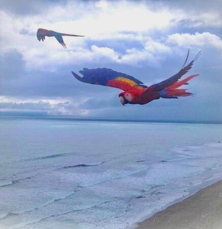 Coloso Del Mar Zancudo Ngoại thất bức ảnh