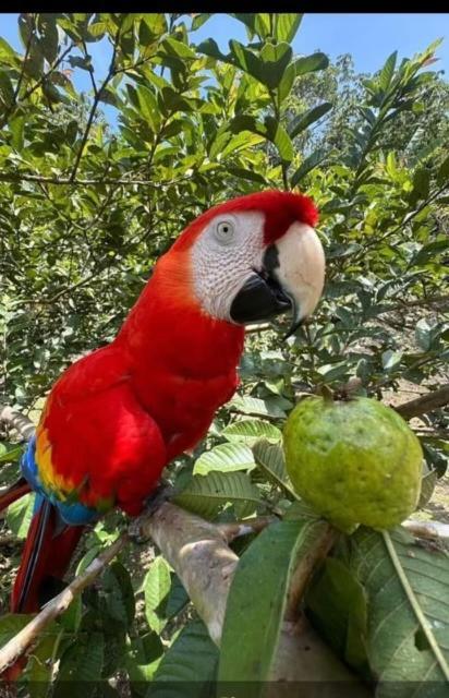 Coloso Del Mar Zancudo Ngoại thất bức ảnh