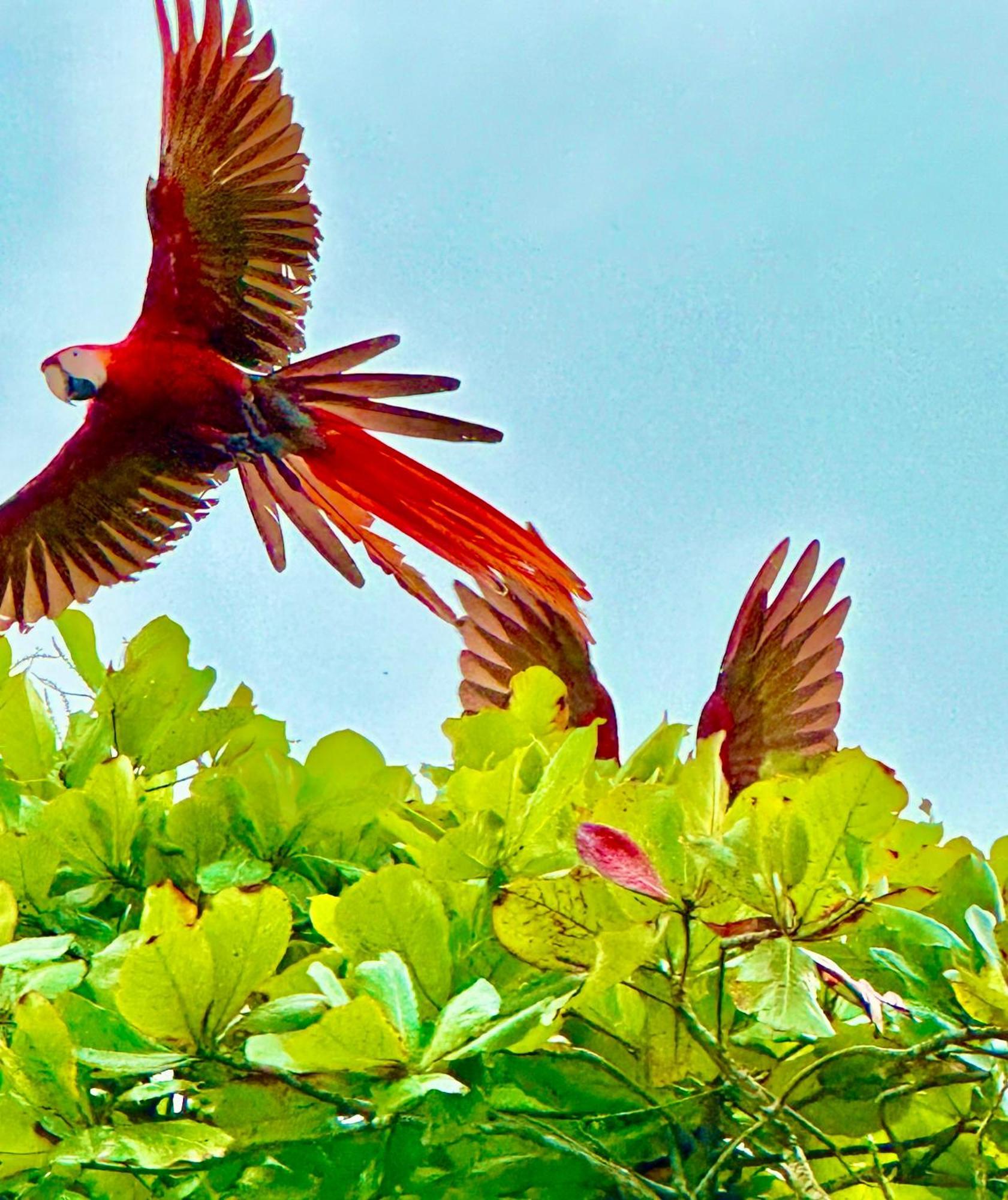 Coloso Del Mar Zancudo Ngoại thất bức ảnh